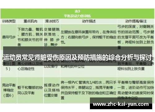运动员常见肾脏受伤原因及预防措施的综合分析与探讨