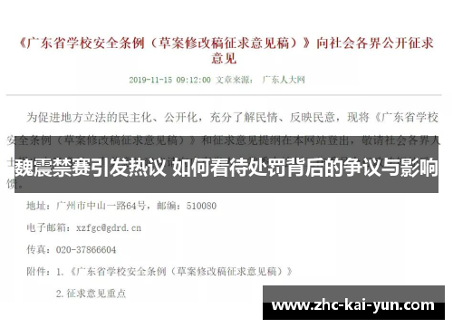 魏震禁赛引发热议 如何看待处罚背后的争议与影响